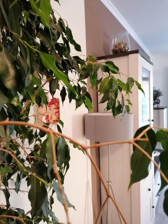 Apartman Luna Šibenik Buitenkant foto